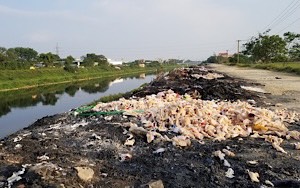 Vải vụn vứt bỏ bờ sông
