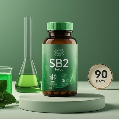 SB2 Turbo Funciona? Review Definitivo e Análise Sincera de 2024